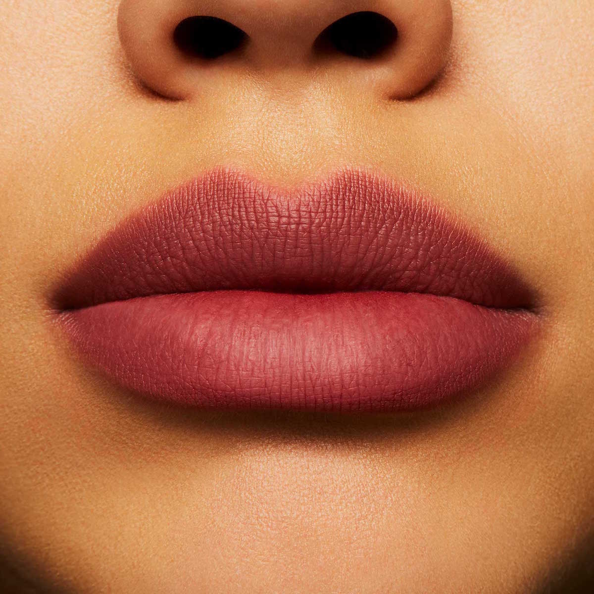 POWDER KISS LIPSTICK (LABIAL)